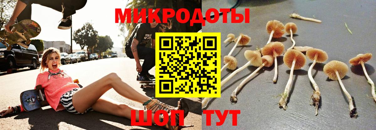 Галлюциногенные грибы прущие грибы Нижнеудинск