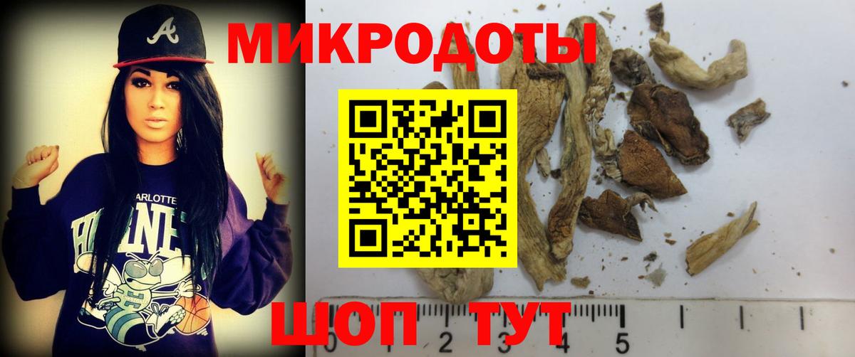 Псилоцибиновые грибы Cubensis  Вход с VPN  Нижнеудинск 